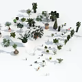 Diverse Bonsai and Potted Plants Collection With Various Sizes Shapes and Pot Styles