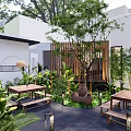 Outdoor Restaurant Patio With Wooden Tables Benches Greenery Trees Clay Pots White Building Lantern Lights