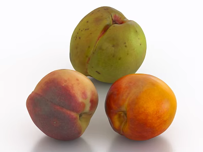 Fresh Ripe Assorted Fruits Peach Nectarine And Apricot Showing Vibrant Colors On White Background 3d model