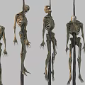 Multiple Hanging Skeletons And Scattered Skulls With Bones On Ground Poles 3d model