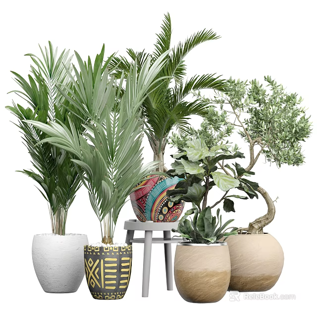 Diverse Potted Plants Including Palms Fiddle Leaf Fig And Olive Tree In Decorative Pots 3d model 