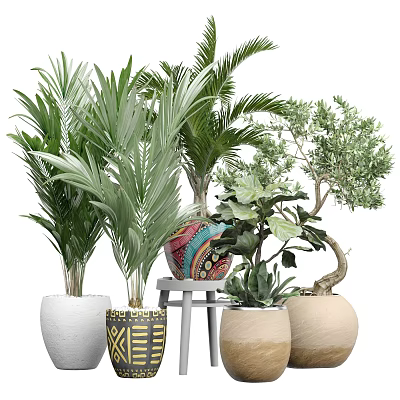 Diverse Potted Plants Including Palms Fiddle Leaf Fig And Olive Tree In Decorative Pots 3d model
