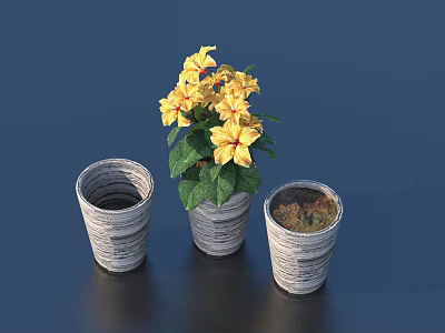 Bonsai Potted Plants With Yellow Flowers Green Leaves In Three Gray Textured Pots 3d model