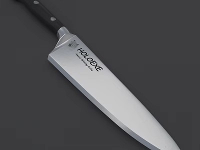 HOLOSTE Kitchen Knife Weapon With Stainless Steel Sharp Blade And Black Handle 3d model