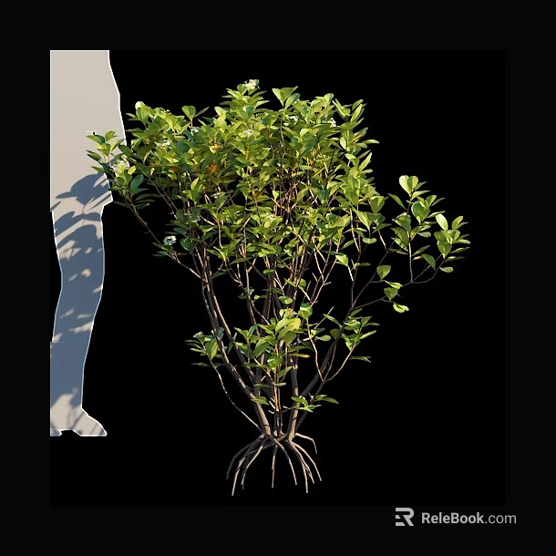 Lush Arbor With Green Leaves Multiple Branches And Exposed Roots 3d model