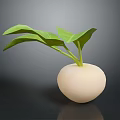 Fresh White Round Root Vegetable with Green Leaves on Dark Background 3d model