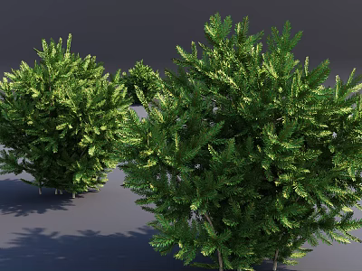 Healthy Lush Green Shrubs With Dense Foliage For Garden Landscaping Design 3d model
