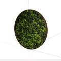 Lush Green Living Plant Wall Circular Design For Indoor Interior Decor