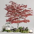 Tree Landscape Tree Red Maple Plant Pile 3d model