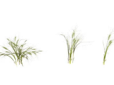 Modern grass grass flowers 3d model Modern grass grass flowers 3d model