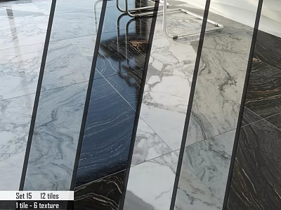 Sal IS 12 Tiles With Life Texture And Marble Pattern For Floor Decoration 3d model