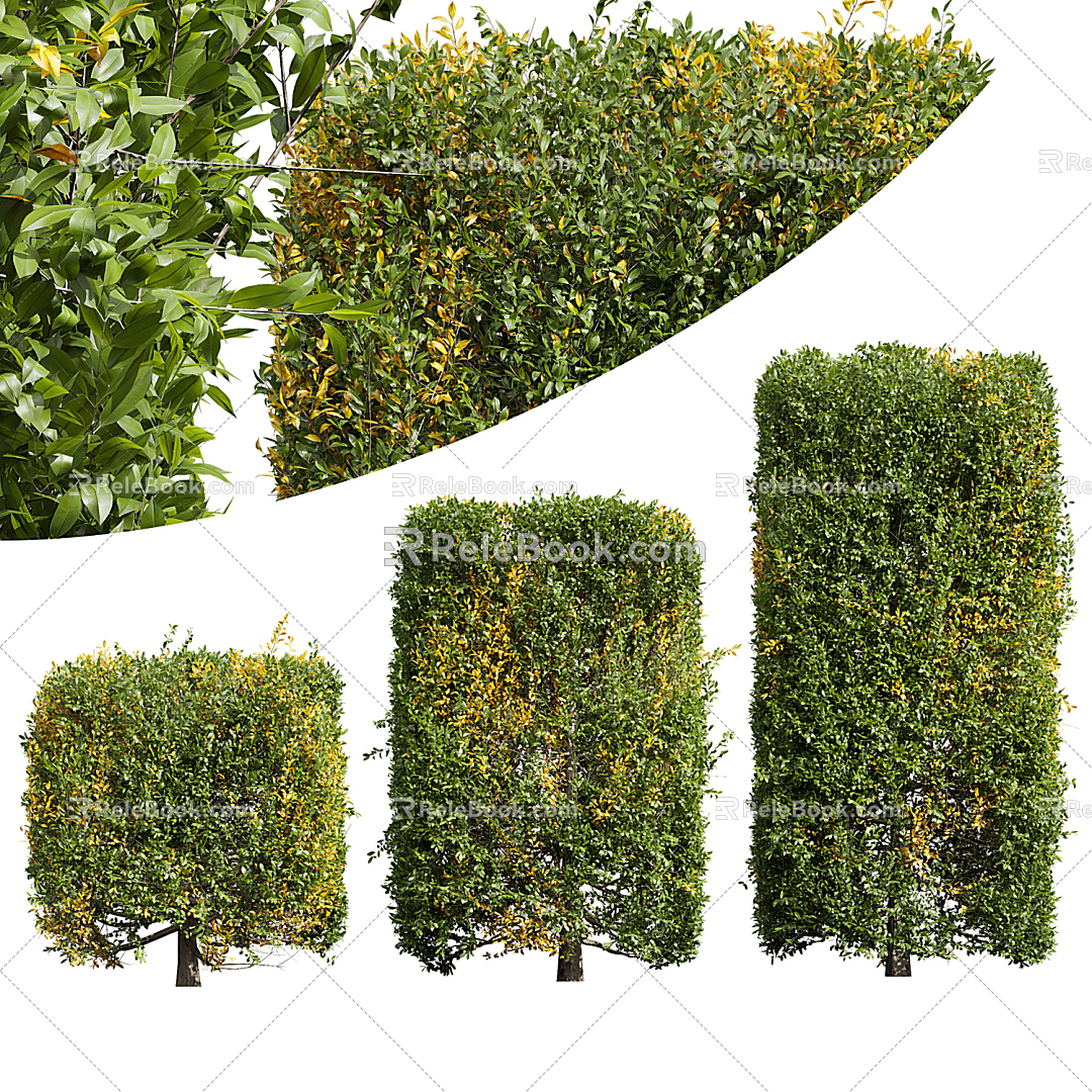 Modern Shrubs Greening Floral bushes Gardens Greening 3d model