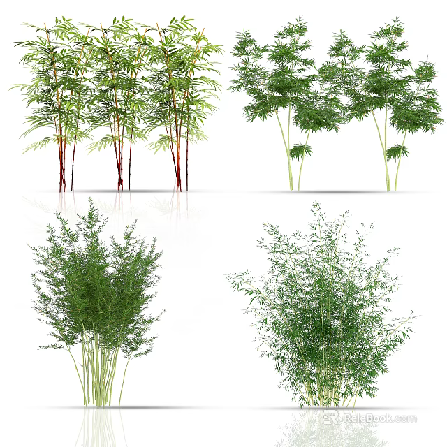 Different Types of Bamboo Plants with Green Leaves and Natural Stems 3d model 