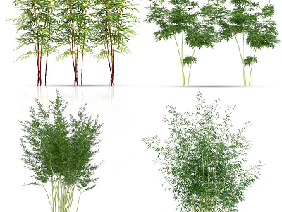 Different Types of Bamboo Plants with Green Leaves and Natural Stems 3d model