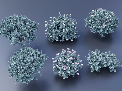Six Different Shaped Green Bushes With White And Pink Small Flowers On Dark Blue Background 3d model