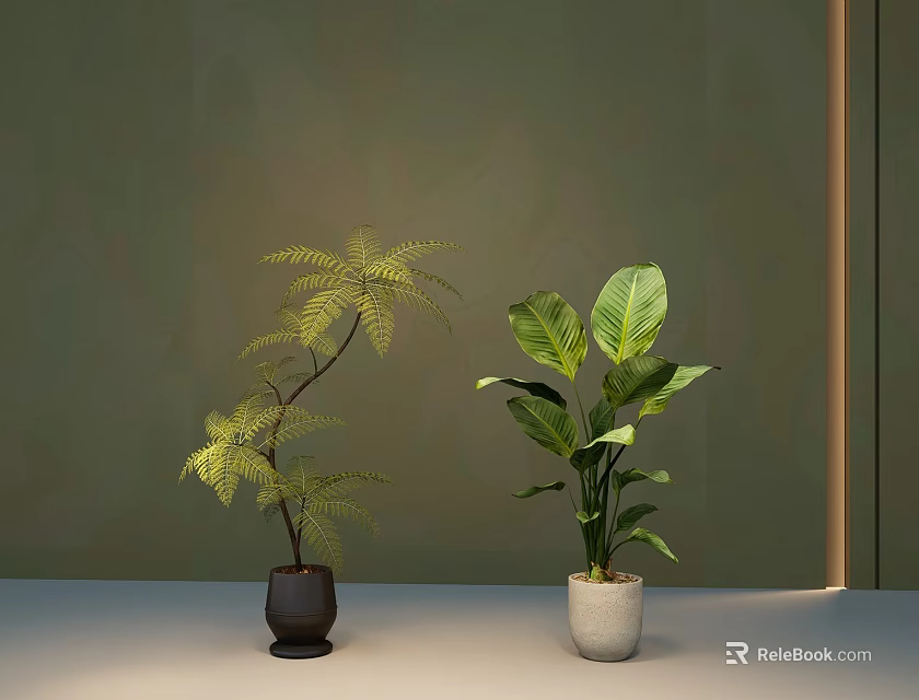 Bonsai Potted Plants Fern And Large Green Leaves In Brown Beige Pots On Grey Background 3d model 