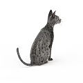 Adorable Grey Spotted Domestic Cat Sitting Calmly Isolated On White Background Pet Portrait