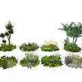 Diverse Flowers and Plants with Different Species in Garden Greenery Arrangements