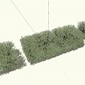 Trimmed Green Shrubs Growing On Sandy Beach With Ocean Waves 3d model