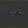 Detailed 3D Ant Model Render With Realistic Body Structure Long Legs And Prominent Mandibles