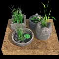 Garden Decorative Planters With Grass Flowers And Lotus Leaf In Stone Pots On Wooden Tray