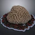 Natural Brain Coral Marine Animal Decor With Red Brown Stones On White Edged Tray