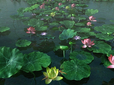 Modern Lotus Dragonfly Aqua Grass Lotus Leaf Reed 3d model