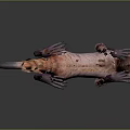 Realistic 3D Model of Monkey With Long Tail and Tan Fur on Dark Background