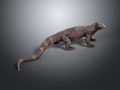 Realistic Komodo Dragon 3D Model Standing On Gray Background With Detailed Skin 3d model