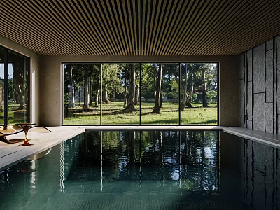 Modern Indoor Swimming Pool With Large Windows Forest View And Clear Water 3d model