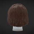 Brown Short Hair With Braid And Bangs On Head Model Side View 3d model