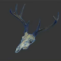 Detailed Deer Skull With Antlers Showcasing Natural Bone Texture And Structure Details