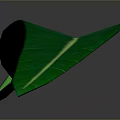 Fresh Green Leaf With Visible Veins And Long Green Stem