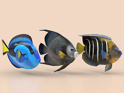 Three Colorful Tropical Fish with Different Patterns Swimming in Light Background 3d model