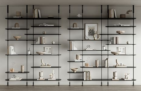 Modern CATTELAN ITALIA Bookshelf 3d model