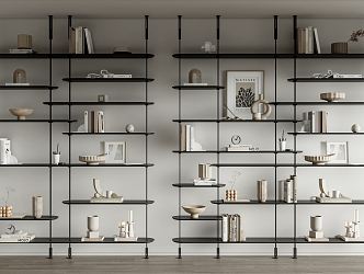 Modern CATTELAN ITALIA Bookshelf 3d model