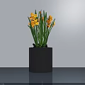 Minimalist Bonsai Plant in Black Cylindrical Pot with Yellow Flowers and Green Stems on Tabletop