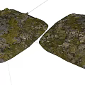 Natural Stone And Wood Textured Surfaces With Mossy Rustic Finish