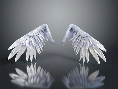 White Angelic Wings With Soft Feathers On Black Reflective Surface Showing Reflection 3d model