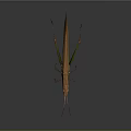 Colorful Stick Insect With Green And Red Body Long Slender Antennae On Grey Background