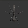 Metallic Ant Sculpture With Detailed Legs And Antennae On Dark Reflective Surface