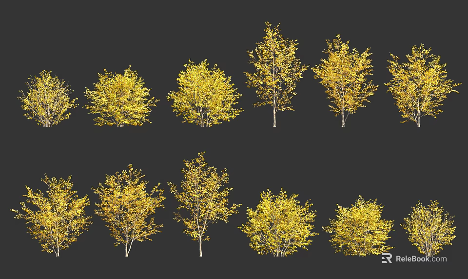 Multiple Yellow Trees Arranged Neatly In Two Rows With Black Background 3d model 