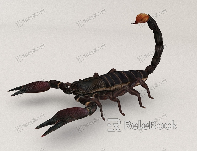 Scorpion Animal Beast model