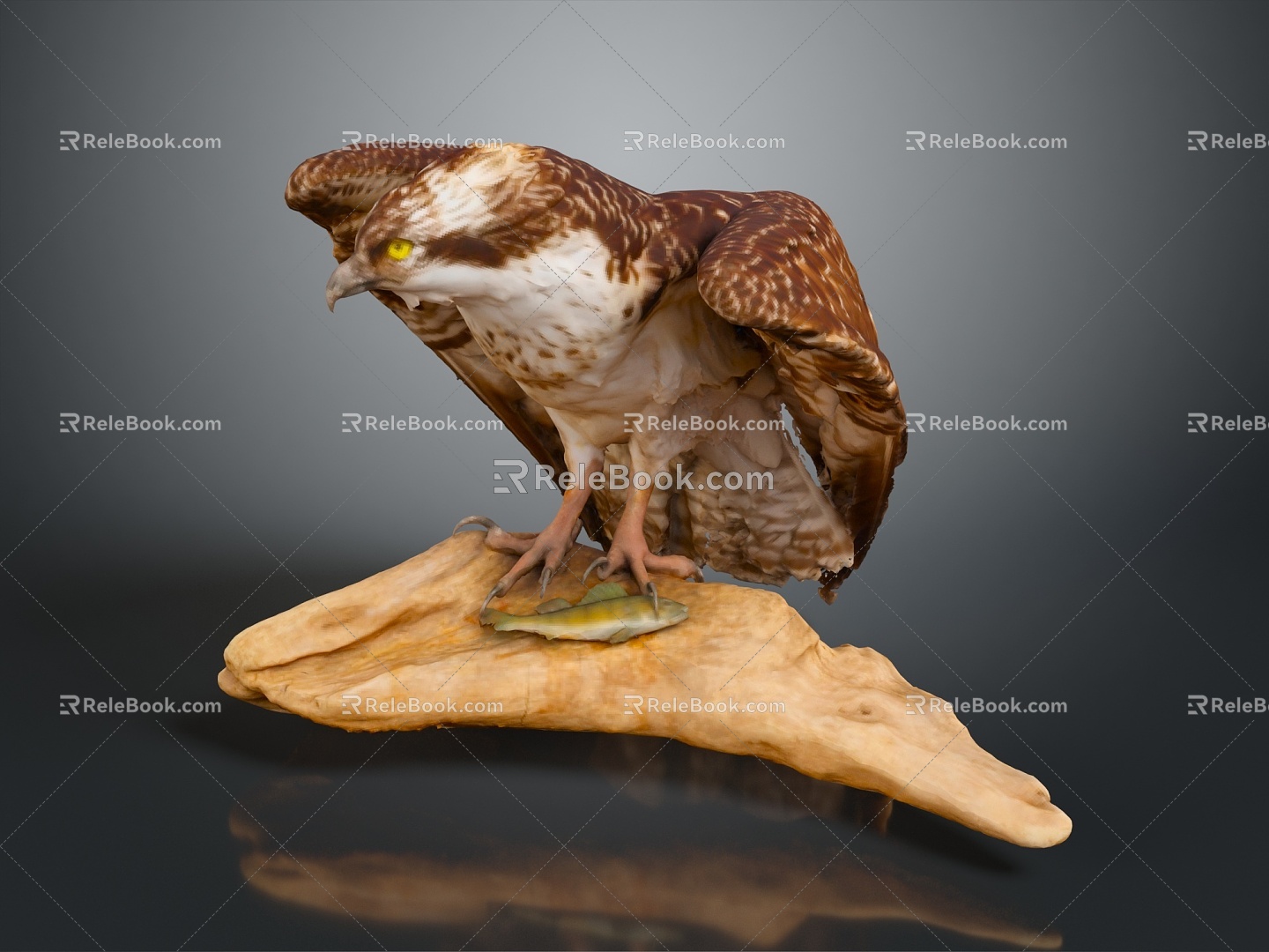 Eagle Large Eagle Owl Raptor Falcon Bird Bird Bird Animal Game Animal 3d model