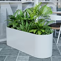 Stylish Garden Accent With White Rectangular Planter And Tropical Green Plants 3d model