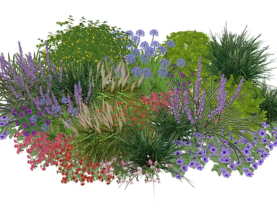 Vibrant Garden Plant Combination With Colorful Flowering Plants Grasses And Shrubs 3d model