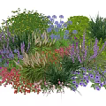 Vibrant Garden Plant Combination With Colorful Flowering Plants Grasses And Shrubs