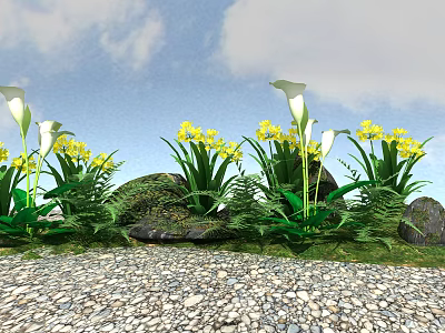 Beautiful Outdoor Garden With White Calla Lilies Yellow Flowers Green Ferns And Gravel Ground 3d model