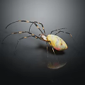 Vibrant Yellow And Pink Spider With Long Thin Legs On Dark Reflective Background 3d model