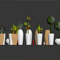 Colorful Decorative Vases With Green Plants In Different Shapes And Sizes